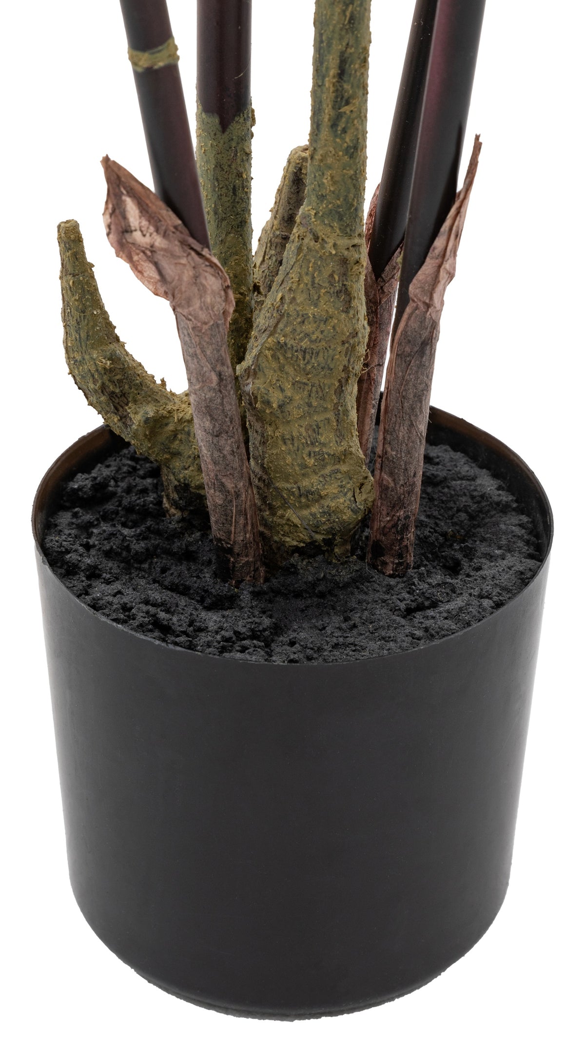 Gallery Direct Potted Bamboo Tree Green Large, close-up showing its finish and detail