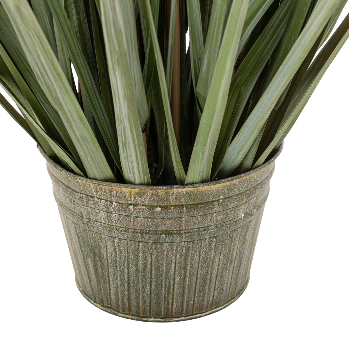 Gallery Direct Potted Grass with Pampas Seed Heads Green Small, close-up showing its finish and detail