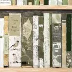 Gallery Direct Anthology Framed Canvas depicting a variety of green coloured book titles that sit within an oak wood frame