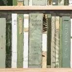 Gallery Direct Anthology Framed Canvas of a bookcase full of outdoor themed book spines in various green shades, in a natural oak wood frame