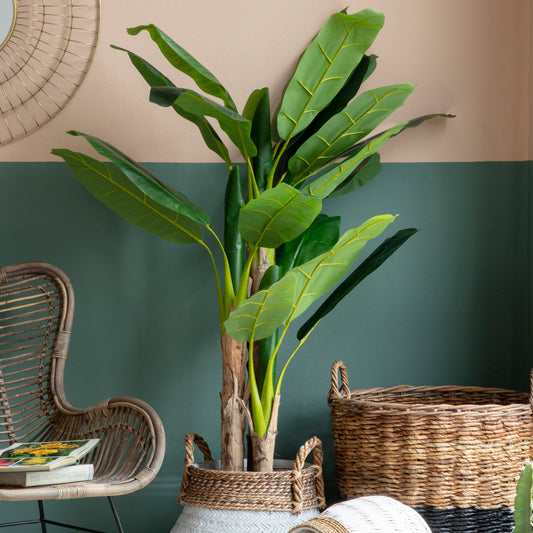 Gallery Direct Banana Palm Green Large, styled in a supplier lifestyle setting