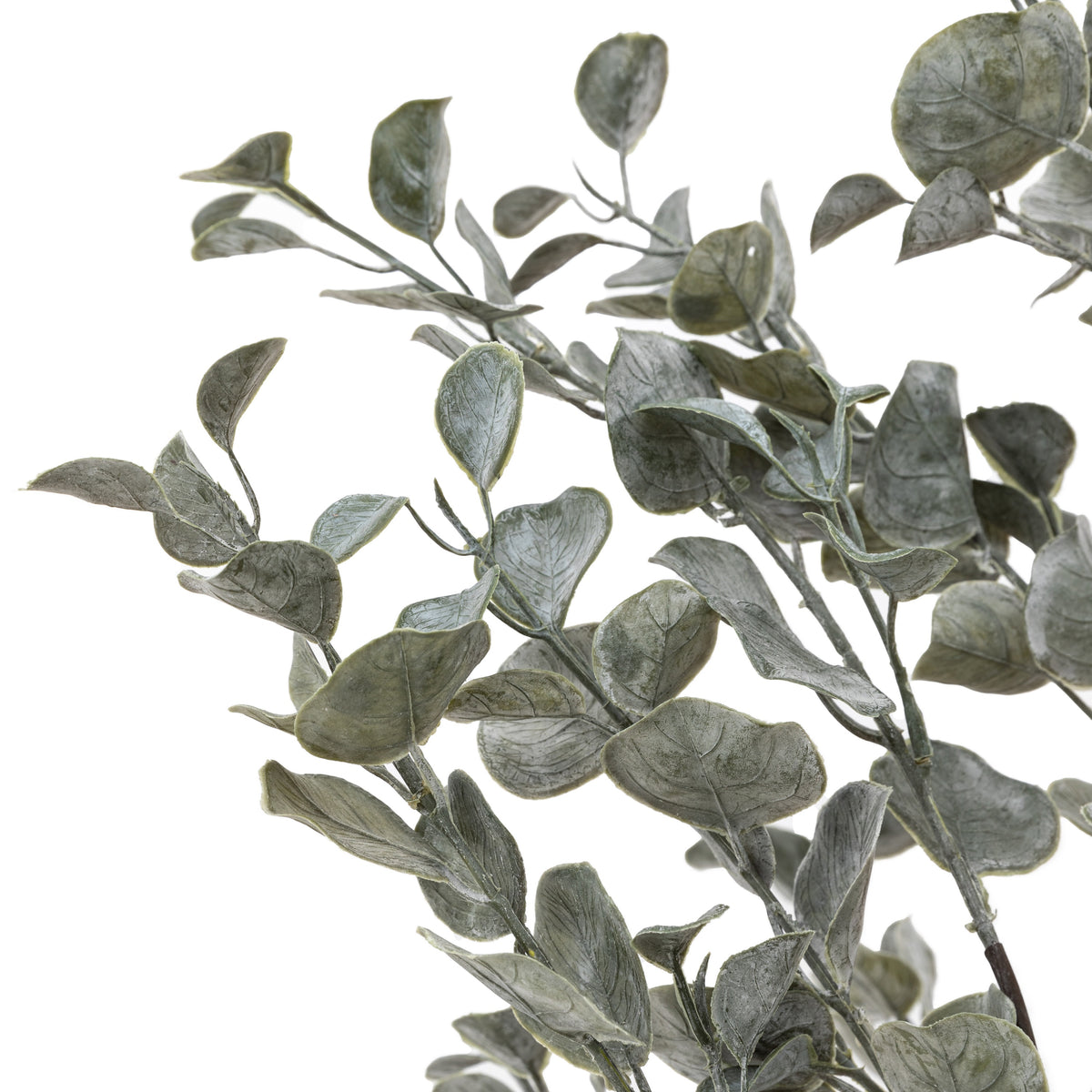 Gallery Direct Faux Eucalyptus in Ceramic Pot Ivory, close-up showing its finish and detail