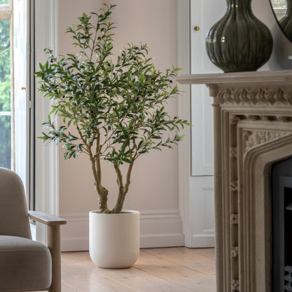 Gallery Direct Faux Olive Tree in White Pot Green, styled in a supplier lifestyle setting