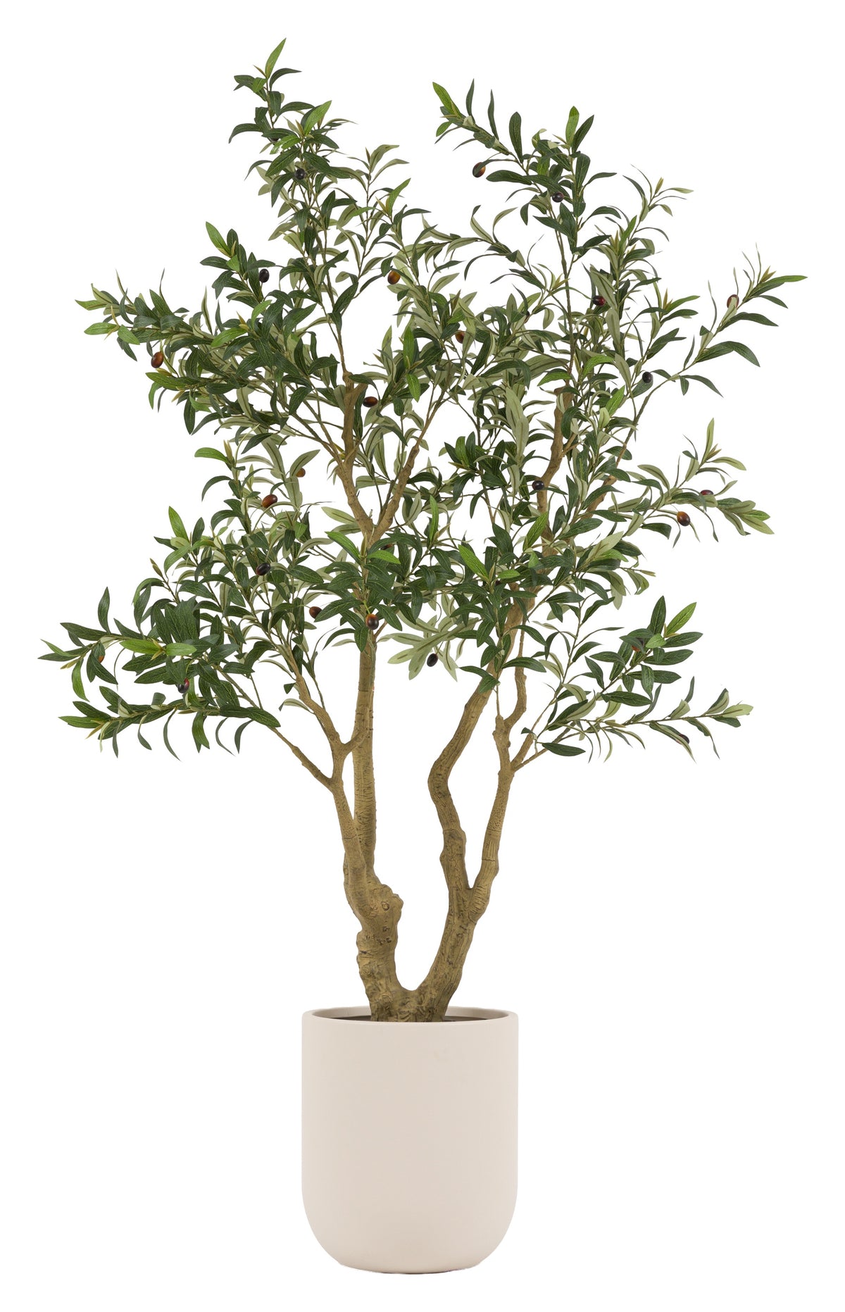 Gallery Direct Faux Olive Tree in White Pot Green, complete product view on a white background