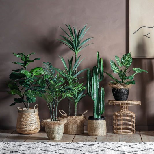 Gallery Direct Fiddle Tree with 39 Leaves Green Small, styled in a supplier lifestyle setting