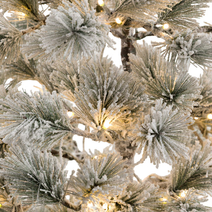Gallery Direct Flocked Pine LED M Christmas Tree Green and White Large, close-up showing its finish and detail