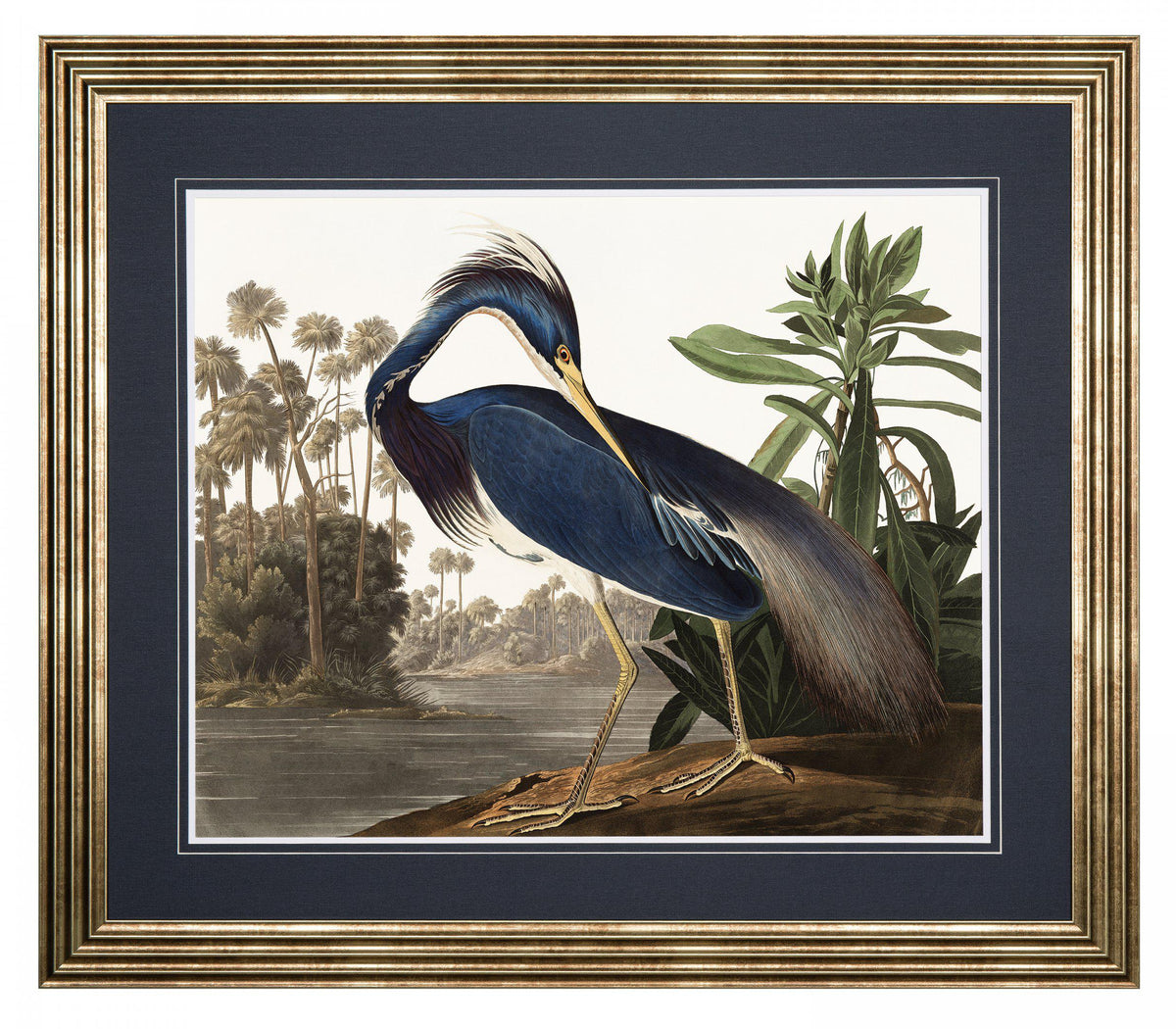 Gallery Direct Louisiana Heron Framed Art, complete product view