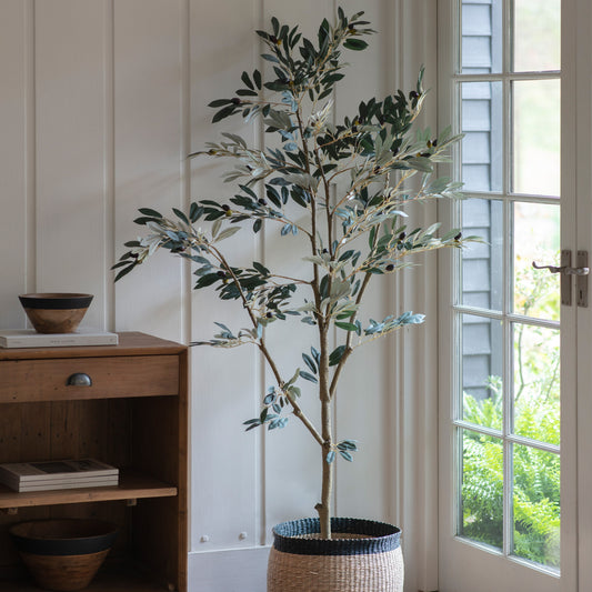 Gallery Direct Olive Tree Large Green, styled in a supplier lifestyle setting