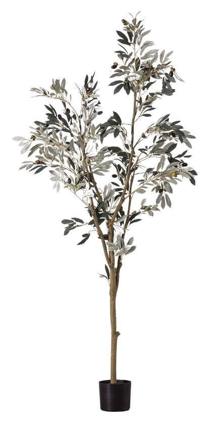 Gallery Direct Olive Tree Large Green, complete product view on a white background