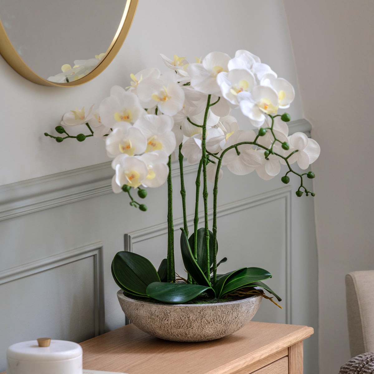 Gallery Direct Oversized Orchid in Cement Pot White, styled in a supplier lifestyle setting
