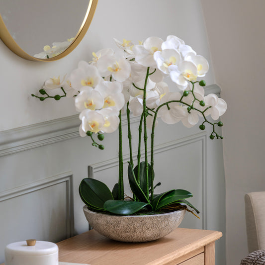 Gallery Direct Oversized Orchid in Cement Pot White, styled in a supplier lifestyle setting