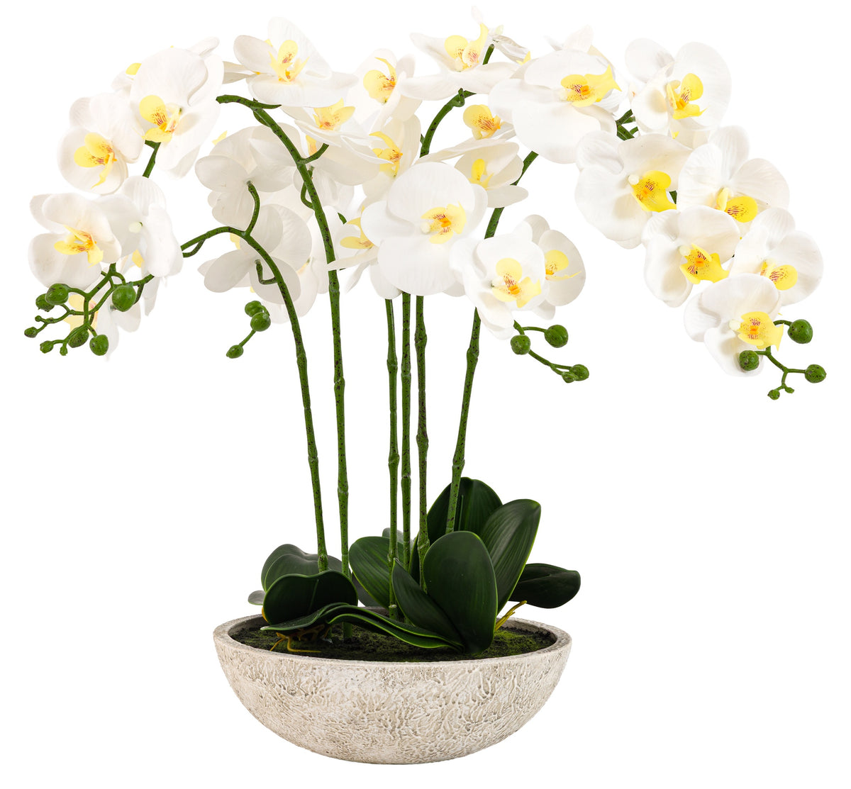 Gallery Direct Oversized Orchid in Cement Pot White, complete product view on a white background