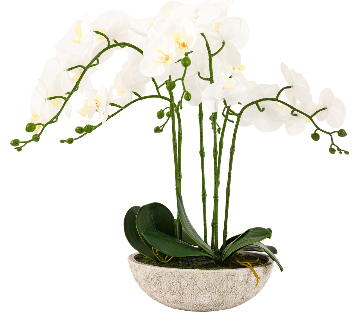 Gallery Direct Oversized Orchid in Cement Pot White, complete product view on a white background