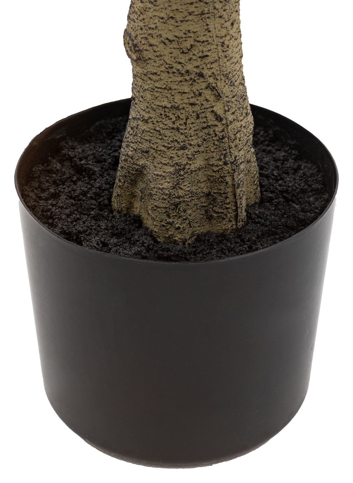 Gallery Direct Potted Chinese White Olive Tree Green Large, close-up showing its finish and detail