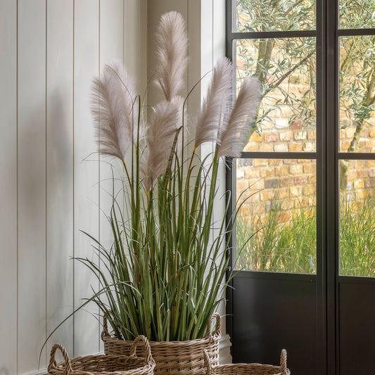 Gallery Direct Potted Grass with Pampas Seed Heads Green Large, styled in a supplier lifestyle setting