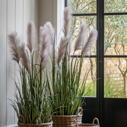 Gallery Direct Potted Grass with Pampas Seed Heads Green Large, styled in a supplier lifestyle setting