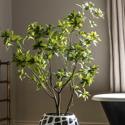 Gallery Direct Potted Pieris Japonica Tree Green, styled in a supplier lifestyle setting