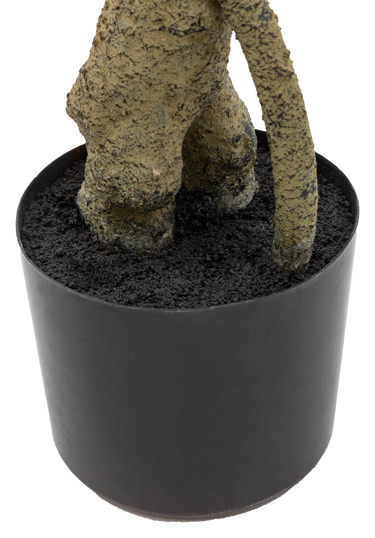 Gallery Direct Potted Pieris Japonica Tree Green, close-up showing its finish and detail
