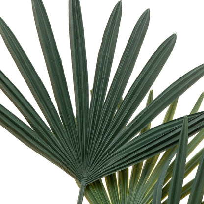 Gallery Direct Potted Statement Palm Green Small, close-up showing its finish and detail
