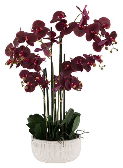 Gallery Direct Real Touch Plum Orchid In Ceramic Ridged Pot, complete product view on a white background