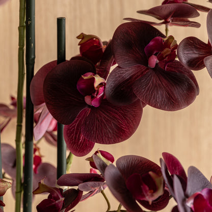 Gallery Direct Real Touch Plum Orchid In Ceramic Ridged Pot, close-up showing its finish and detail
