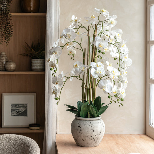 Gallery Direct Real Touch White Orchid In Cement Style Pot, styled in a supplier lifestyle setting