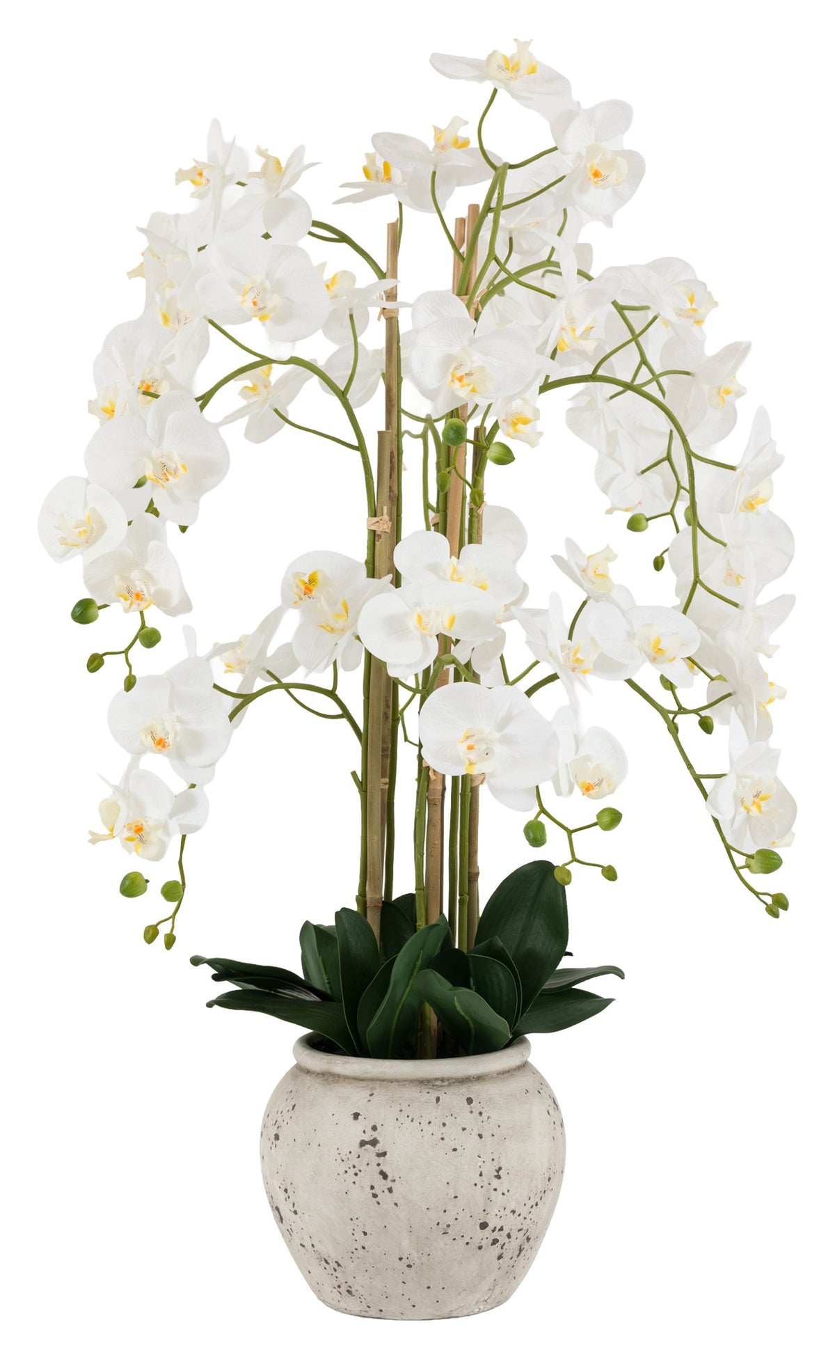 Gallery Direct Real Touch White Orchid In Cement Style Pot, complete product view on a white background