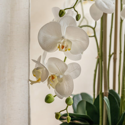 Gallery Direct Real Touch White Orchid In Cement Style Pot, close-up showing its finish and detail