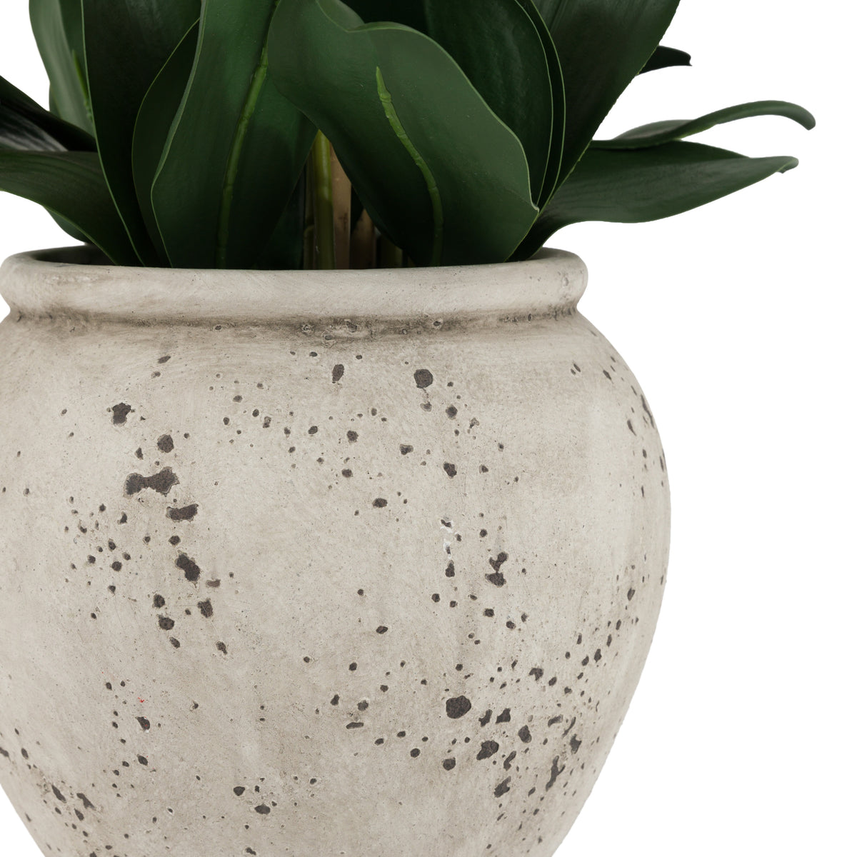 Gallery Direct Real Touch White Orchid In Cement Style Pot, close-up showing its finish and detail