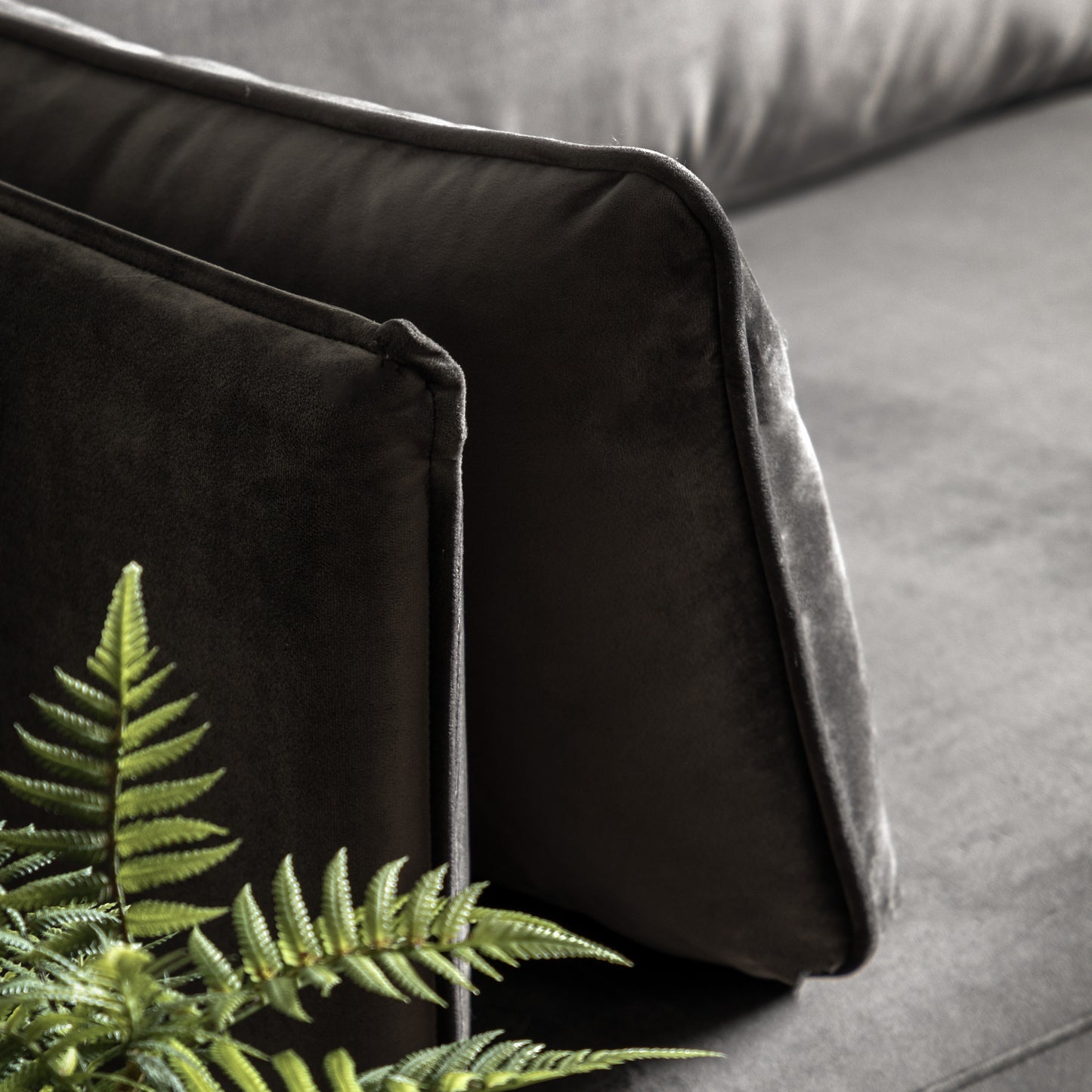 Gallery Direct Wigmore 3 Seater Sofa in Truffle coloured velvet with 2 matching side cushions
