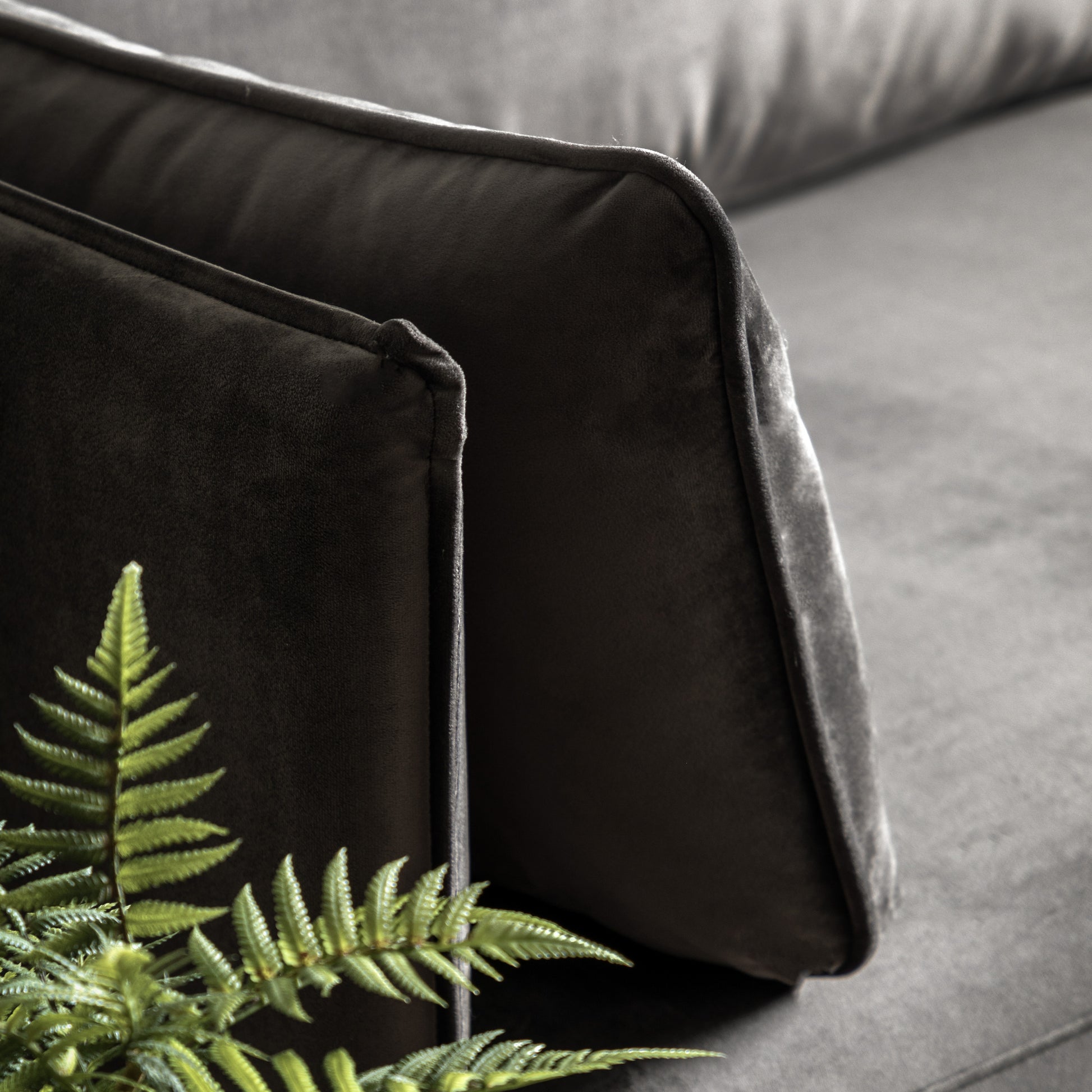 Gallery Direct Wigmore 3 Seater Sofa in Truffle coloured velvet with 2 matching side cushions