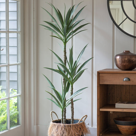 Gallery Direct Yucca Tree with 3 Heads Green Small, styled in a supplier lifestyle setting
