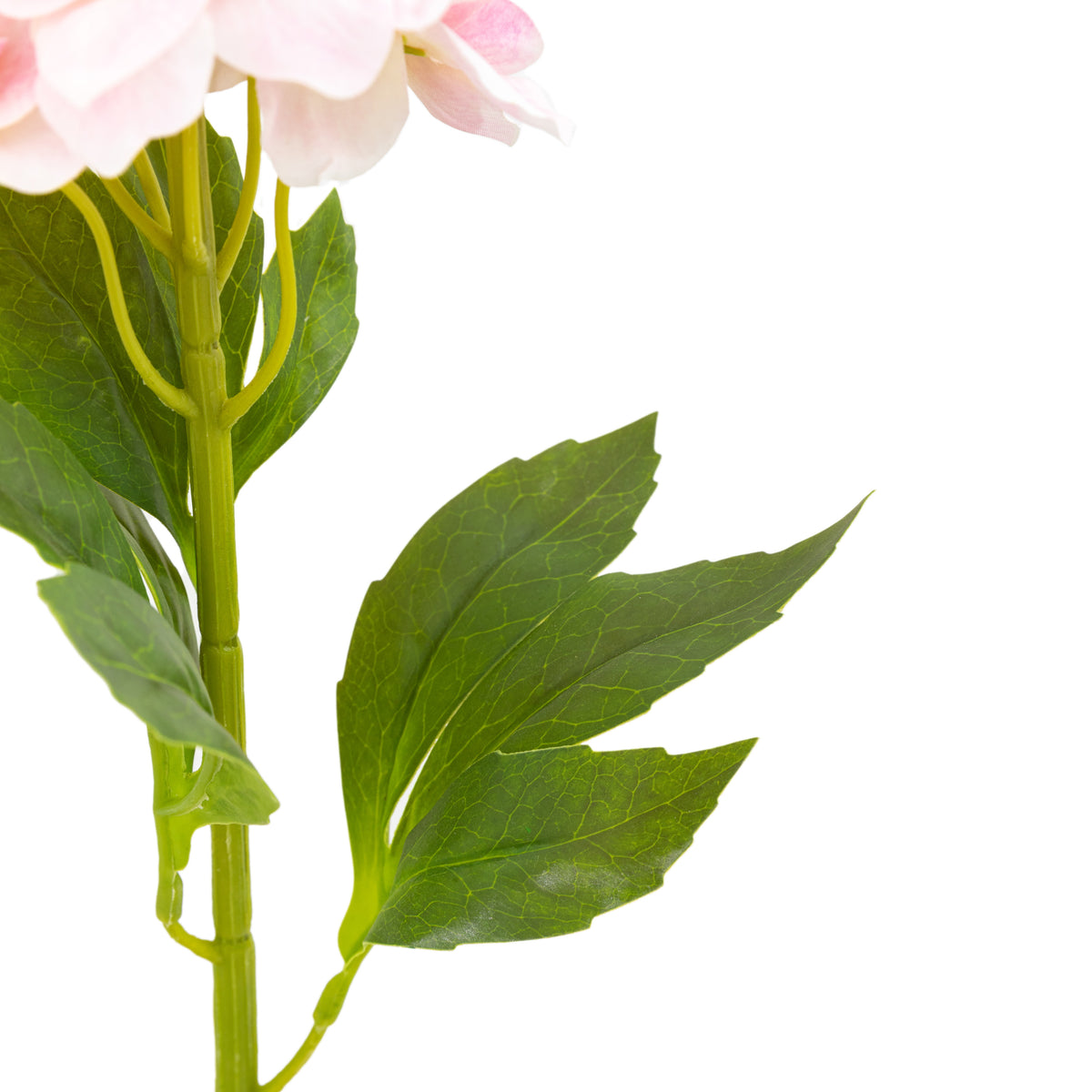 Gallery Direct Vintage Hollyhock Floral Stem Tall Pink (12pk) - image 7