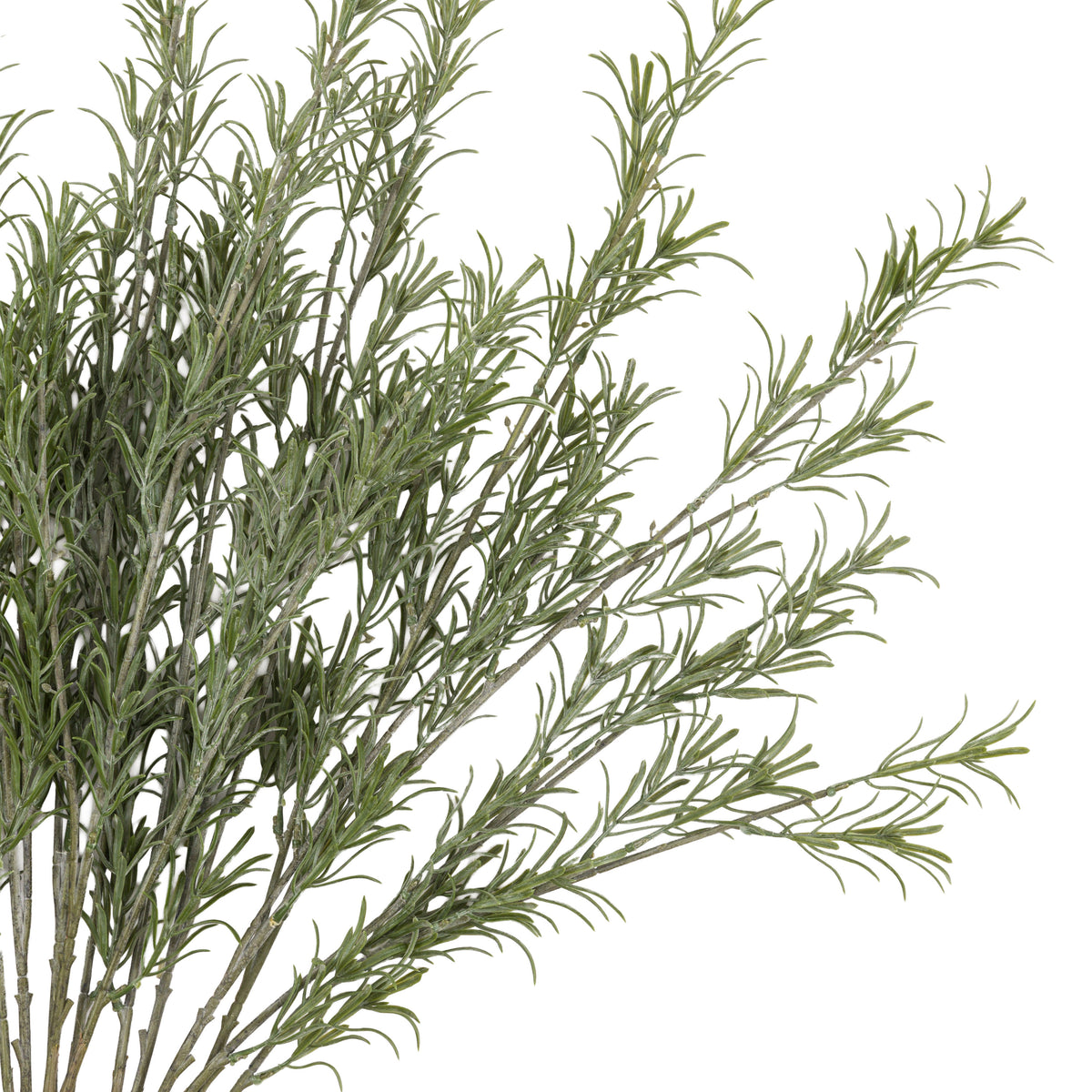 Gallery Direct Faux Stem Rosemary Green (12pk) - image 6