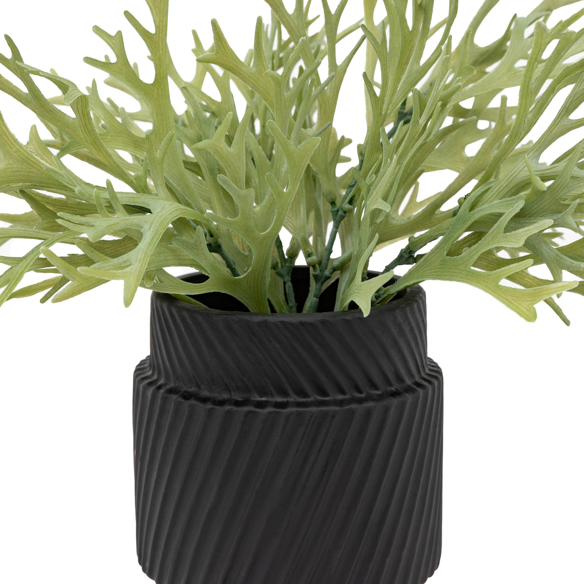 Gallery Direct Faux Playycerium in Ceramic Pot Sage Green - image 3
