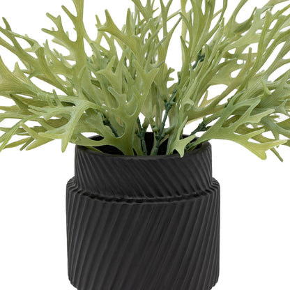 Gallery Direct Faux Playycerium in Ceramic Pot Sage Green - image 3