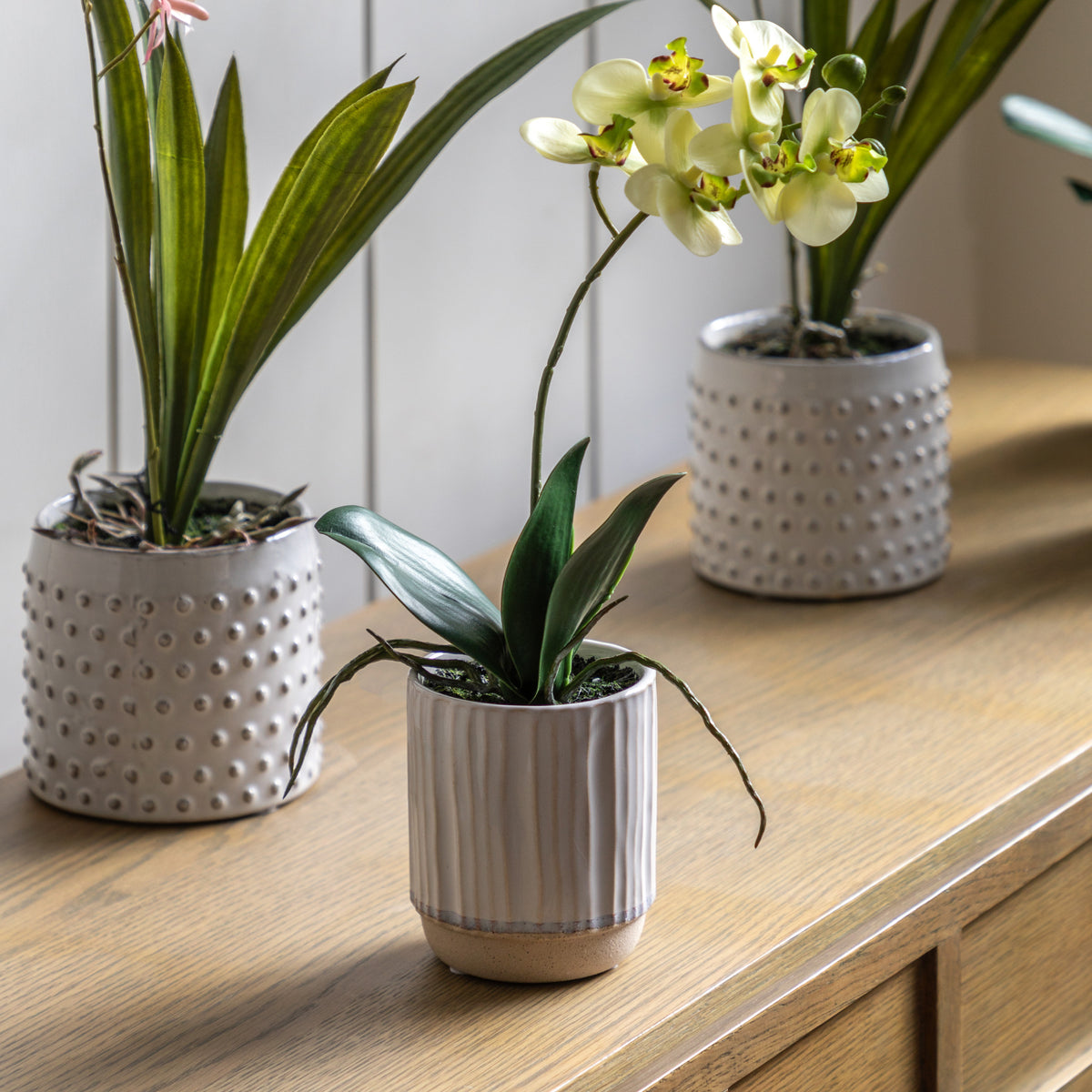 Gallery Direct Orchid Cream in Ribbed White Ceramic Pot - image 1