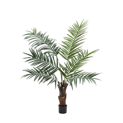 Gallery Direct Potted King Kentia Palm Tree - image 2