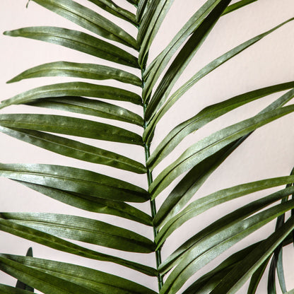 Gallery Direct Potted King Kentia Palm Tree - image 3