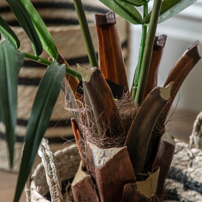 Gallery Direct Potted King Kentia Palm Tree - image 4