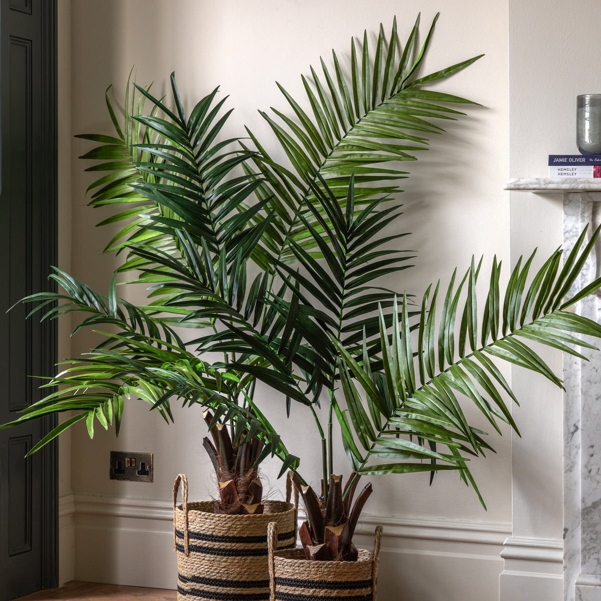 Gallery Direct Potted King Kentia Palm Tree - image 5