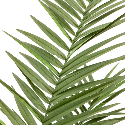 Gallery Direct Potted King Kentia Palm Tree - image 6