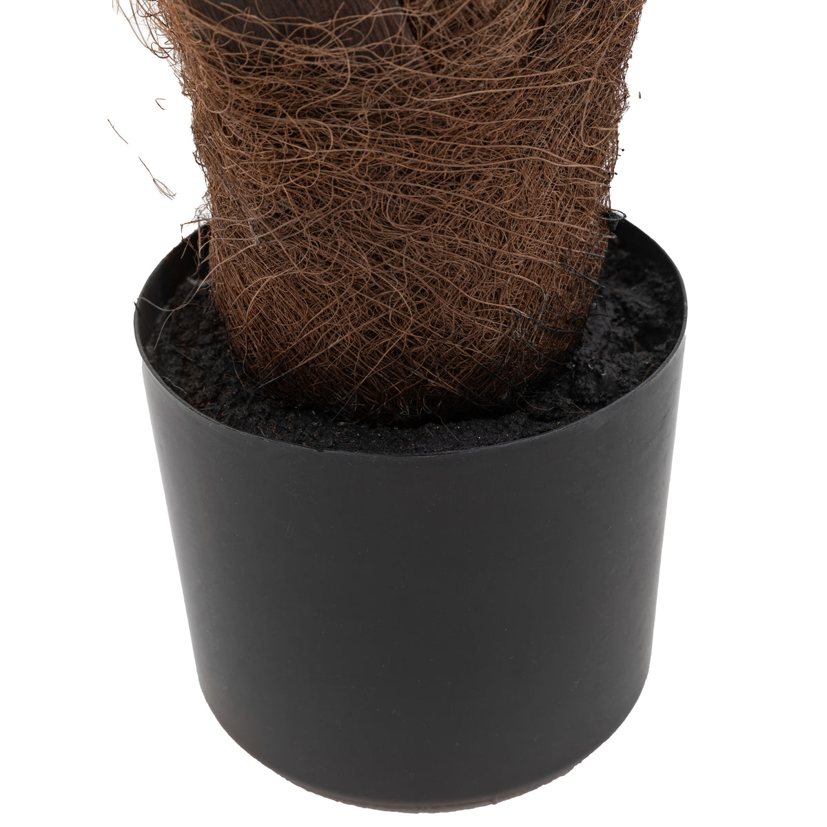 Gallery Direct Potted King Kentia Palm Tree - image 7