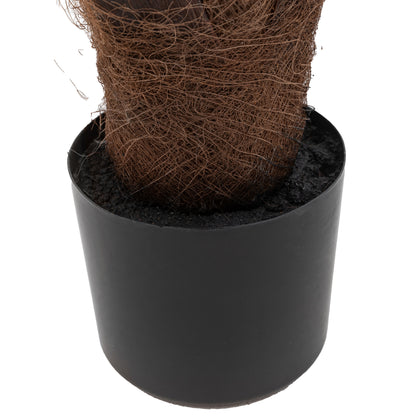 Gallery Direct Potted King Kentia Palm Tree - image 7