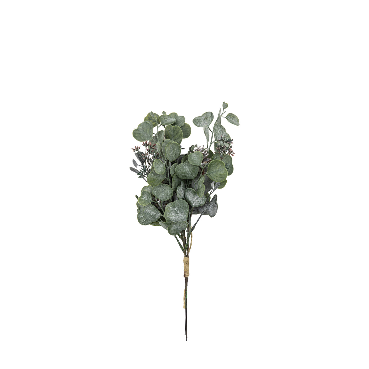 Gallery Direct Seeded Eucalyptus Bundle Dusky Green (3pk) - image 4