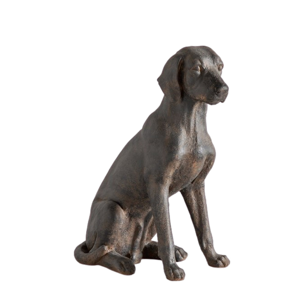 Gallery Direct Digby Dog - image 3