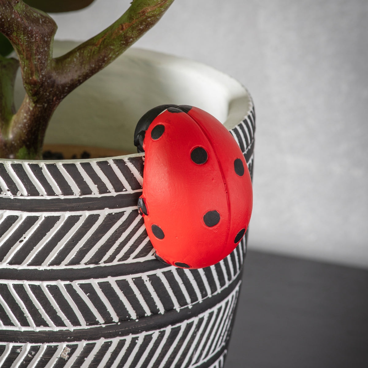 Gallery Direct Eve Ladybird Pot Hanger (2pk) - image 1