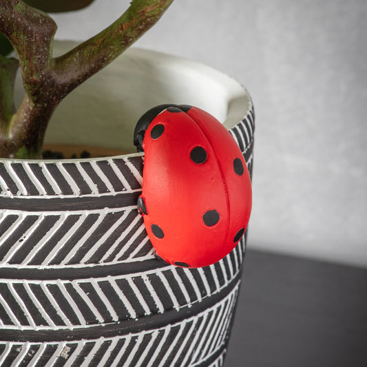 Gallery Direct Eve Ladybird Pot Hanger (2pk) - image 1