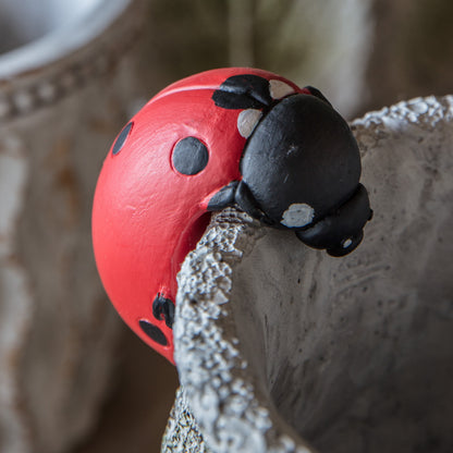 Gallery Direct Eve Ladybird Pot Hanger (2pk) - image 3