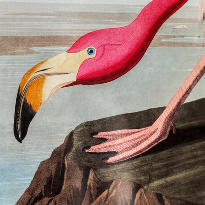Gallery Direct Wading Flamingo Framed Art - image 4